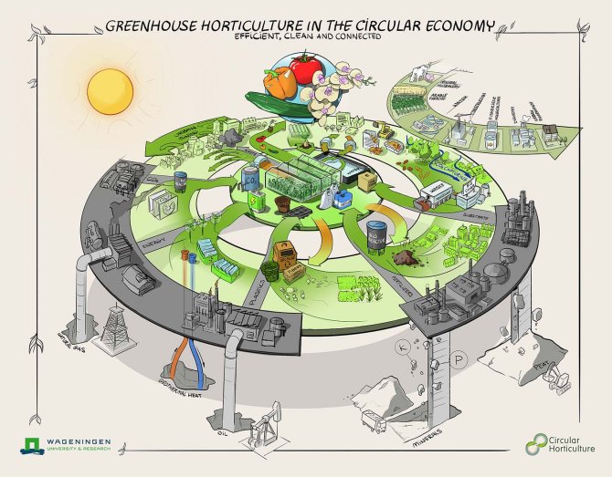 Figure 2: Greenhouse horticulture in the circulareconomy: Efficient, clean and connected