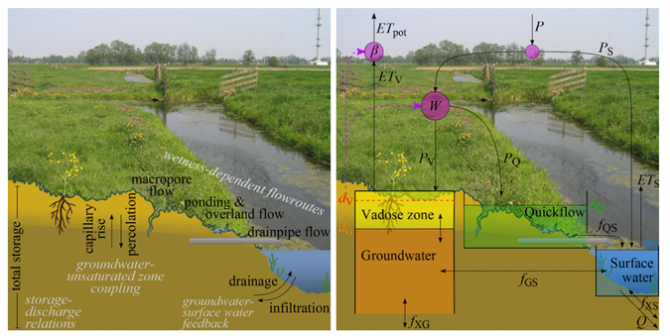 The identification of important processes in lowland catchments (left) and how they are implemented in a model (right). Figures related to C.C. Brauer, A.J. Teuling, P.J.J.F. Torfs, R. Uijlenhoet (2014): The Wageningen Lowland Runoff Simulator (WALRUS): a lumped rainfall-runoff model for catchments with shallow groundwater, Geosci. Model Dev., 7, 2313-2332