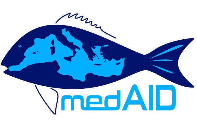 medaid logo.jpg