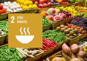 Zero hunger WUR Sustainable Development Goal