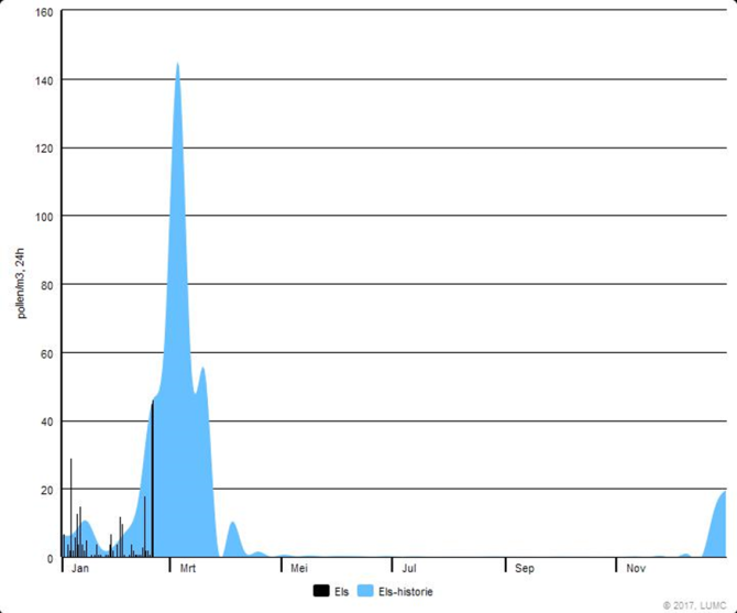 Verloop van de elzenpollenconcentratie zoals gemeten door het LUMC. Het blauwe vlak toont het daggemiddelde van de afgelopen 10 jaar (Bron: LUMC) 