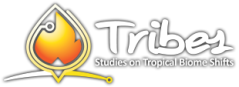 tribes-logo-negwshadow-tropical-biome-shifts.png