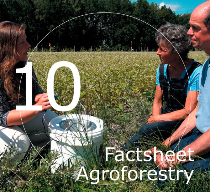 Factsheet 9 Agroforestry
