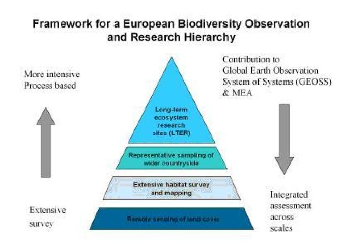 Framework for European Biodiversity Observation and Research Hierarchy
