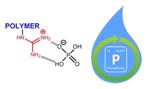 Phosphate_3.png