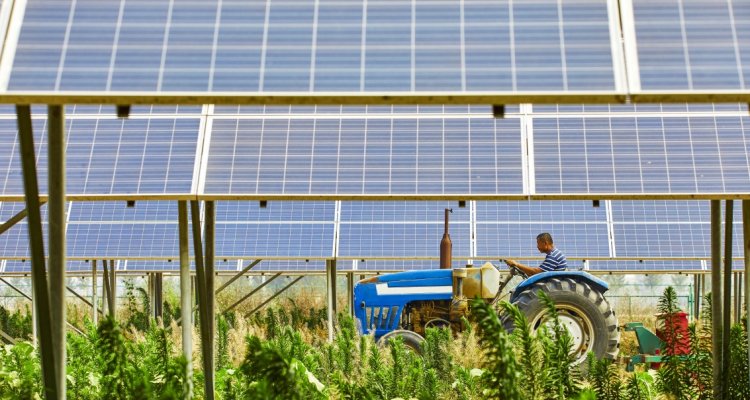 Solar Research: Agrivoltaics