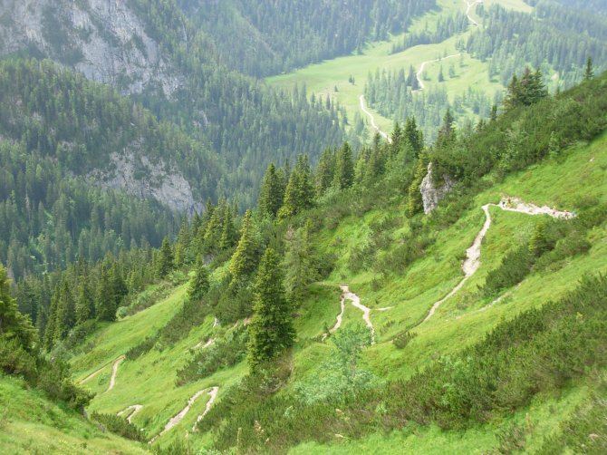 National Park Berchtesgaden (DE) Natura 2000 site, Alpine Biogeographical Region