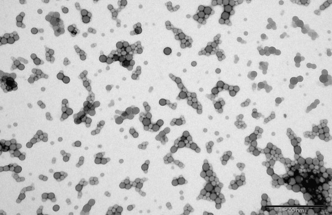 Nanoplastics zijn 1000 keer zo klein als een algencel.