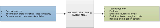 Input and output of biobased urban energy system model