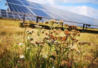 Solar Research: Biodiversity and nature