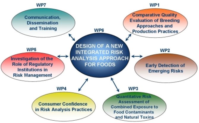 Input from the different Workpackages into the design of a New Integrated Risk Analysis Framework