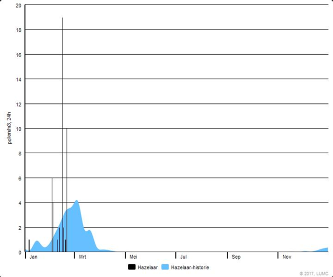 Verloop van de hazelaarpollenconcentratie zoals gemeten door het LUMC. Het blauwe vlak toont het daggemiddelde van de afgelopen 10 jaar (Bron: LUMC)