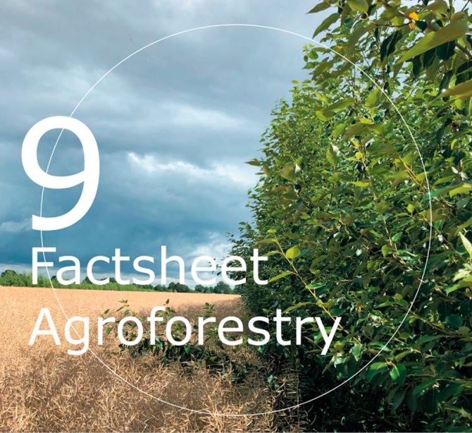 Factsheet 9 Agroforestry