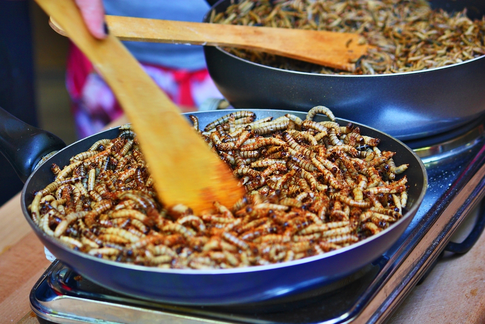 Handschrift erfgoed Overtreding Insecten als voedsel en veevoer - WUR