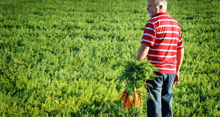 Field Farming