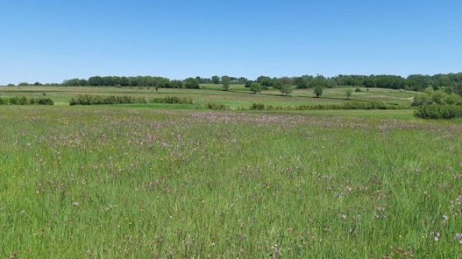 The characteristic, highly biodiverse landscape of Zuid-Limburg