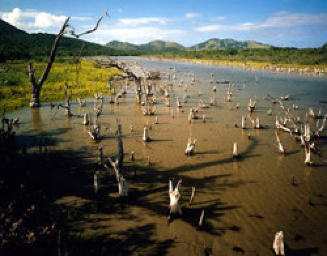 'Wetlands' zijn ecologisch belangrijke gebieden, die niet zelden bedreigd worden door landgebruik.