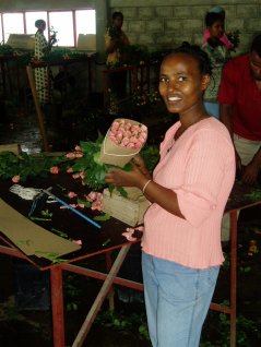 Rose production in Ziway