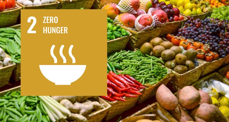 Zero hunger, WURSustainable development goal