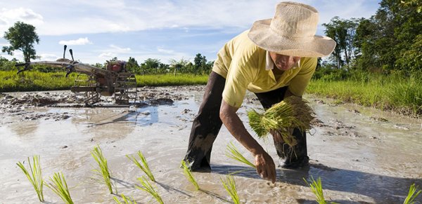 Irrigation and Water Engineering