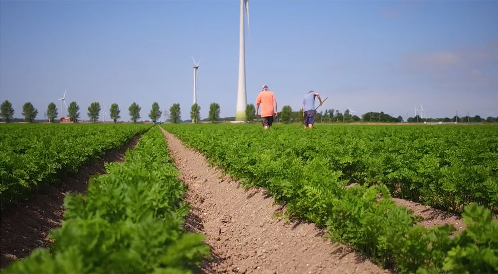 <L CODE="C18">Klik op bovenstaande foto om naar de video te gaan</L>