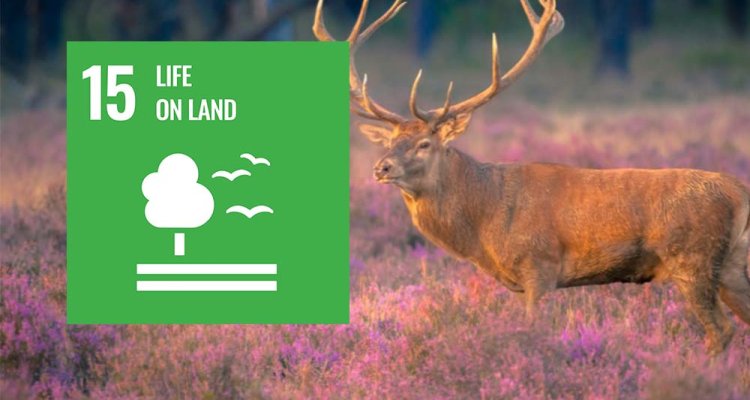 Life on Land - WUR Sustainable Development Goal