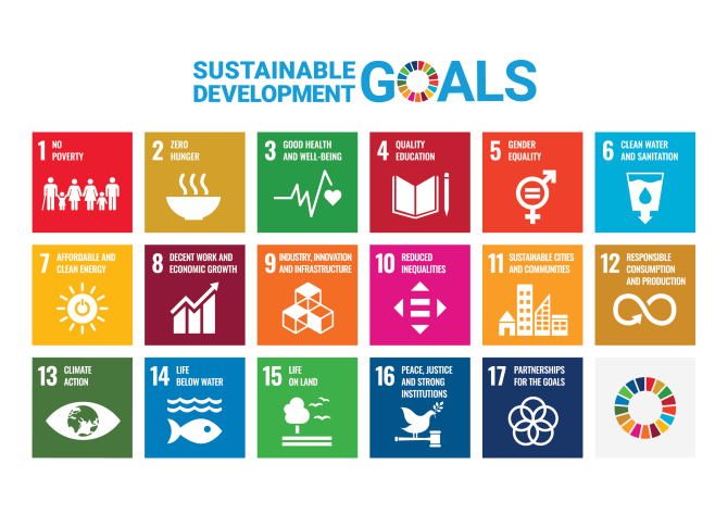 Sustainable development goals UN