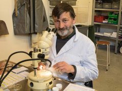Daniel Turner, coördinator van het strandvogel onderzoek en het SNS stormvogel project in noordoost Engeland analyseert stormvogel maaginhouden.