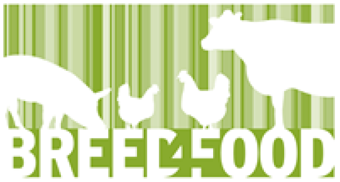 Logo Breed4Food