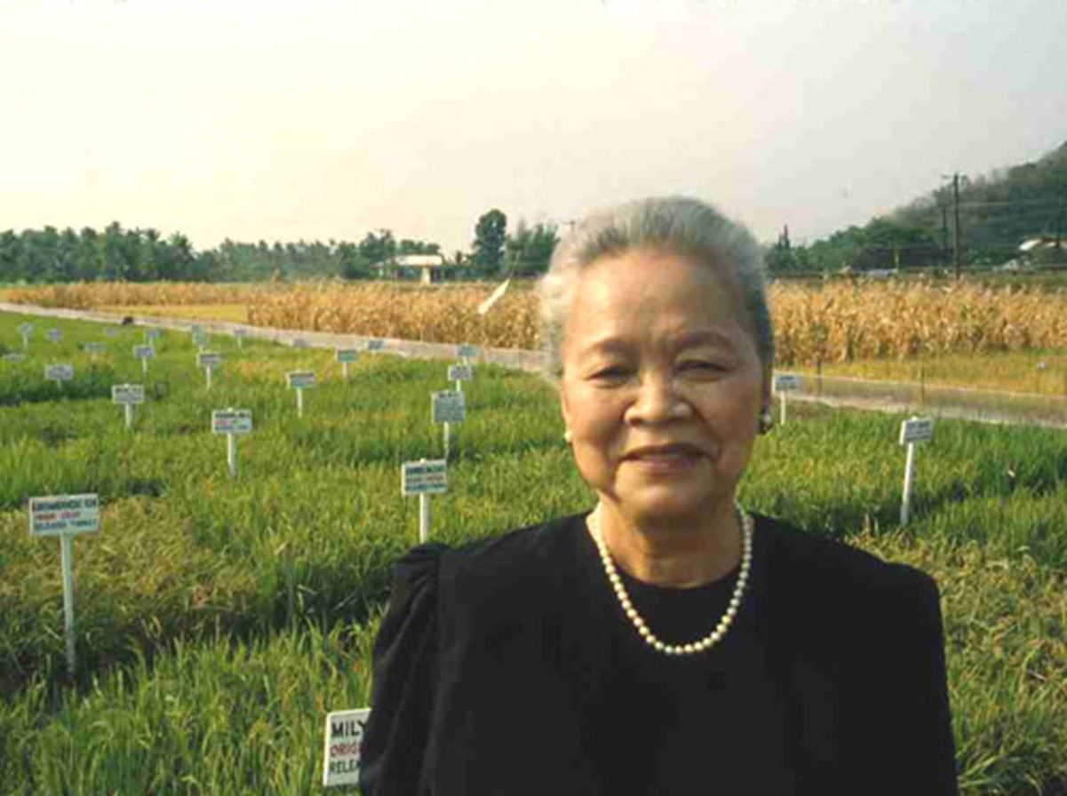 Prof. Emerita Dr Gelia T. Castillo in testing fields, ca 1998 Source: IRRI