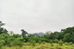 Tropical forests (particularly wet forests) sequester large amounts of CO₂ from the atmosphere every year, playing an essential role in biogeochemical cycling and global warming mitigation