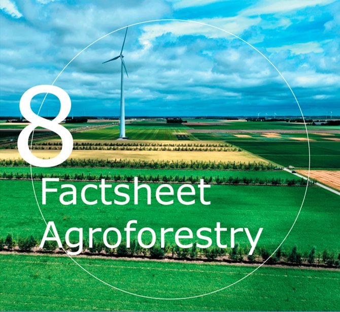 Factsheet 8 Agroforestry