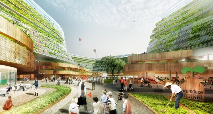 Ultimate urban greenhouse