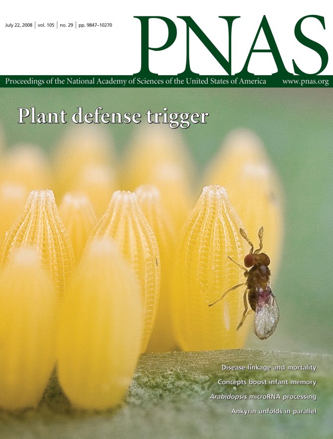 PNAS cover.jpg