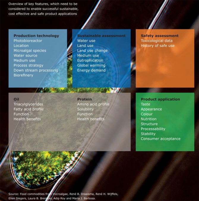 Food commodities from microalgae