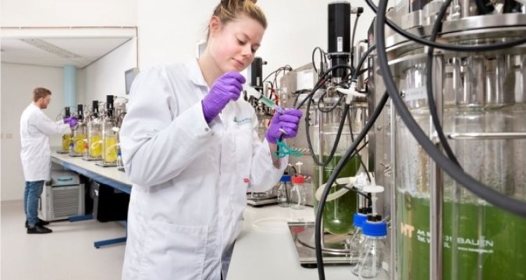 Vacatures Wageningen Food & Biobased Research