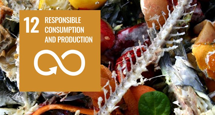 SDG goal: Responsible consumption and production  