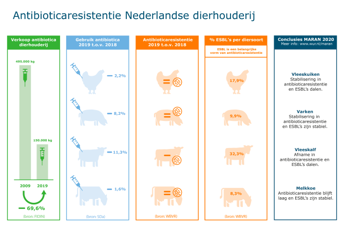Infographic antibioticaresistentie NL dierhouderij 2020