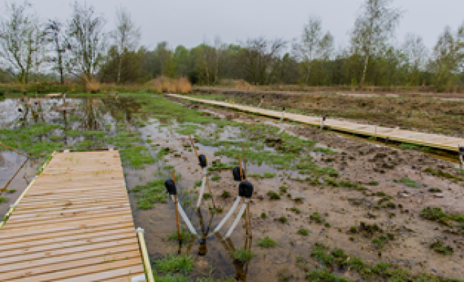 Test site for the newly developed submerged tubular system to generate plant electricity in Brabant. (Photo: Wild Frontiers)