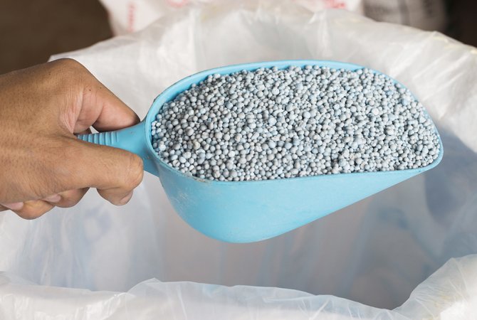 Minerals get shipped to fertiliser manufacturers, where they are processed into high-quality (pure) fertilisers. For greenhouse horticulture, many of these fertilisers are made to be soluble, so they can be given along with the irrigation water.