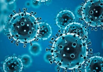 Virus neutralization tests against SARS-CoV-2 variants