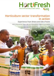 Read the publication: Horticulture sector transformation in action