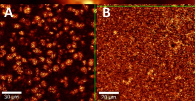 Advanced Raman Confocal Microscopy images with Dynamic Polymer Networks in a phase-separated (A) and non-phase-separated state (B).