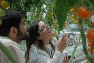 In the greenhouse? Put on your AR glasses