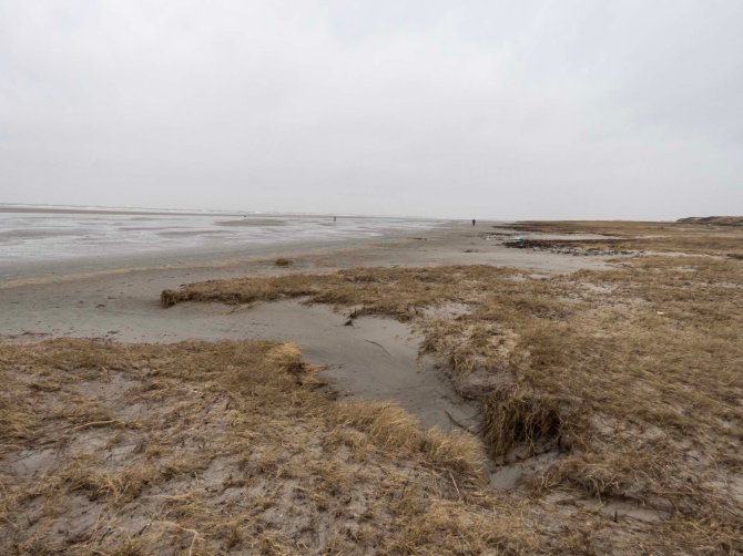 1. Het Noorzeestrand aan de noordwestkant van Schiermonnikoog (± paal 4) op 15 januari, twee weken na het ongeluk met het containerschip MSC Zoe.