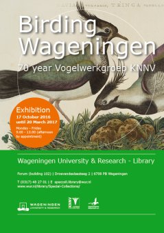 Birding Wageningen, 17 Oct 2016 until 20 March 2017