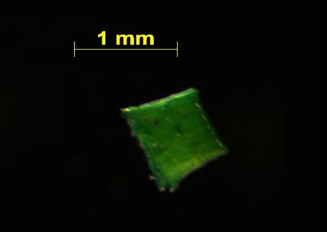 Kunststof microdeeltje gevonden in oppervlaktewater