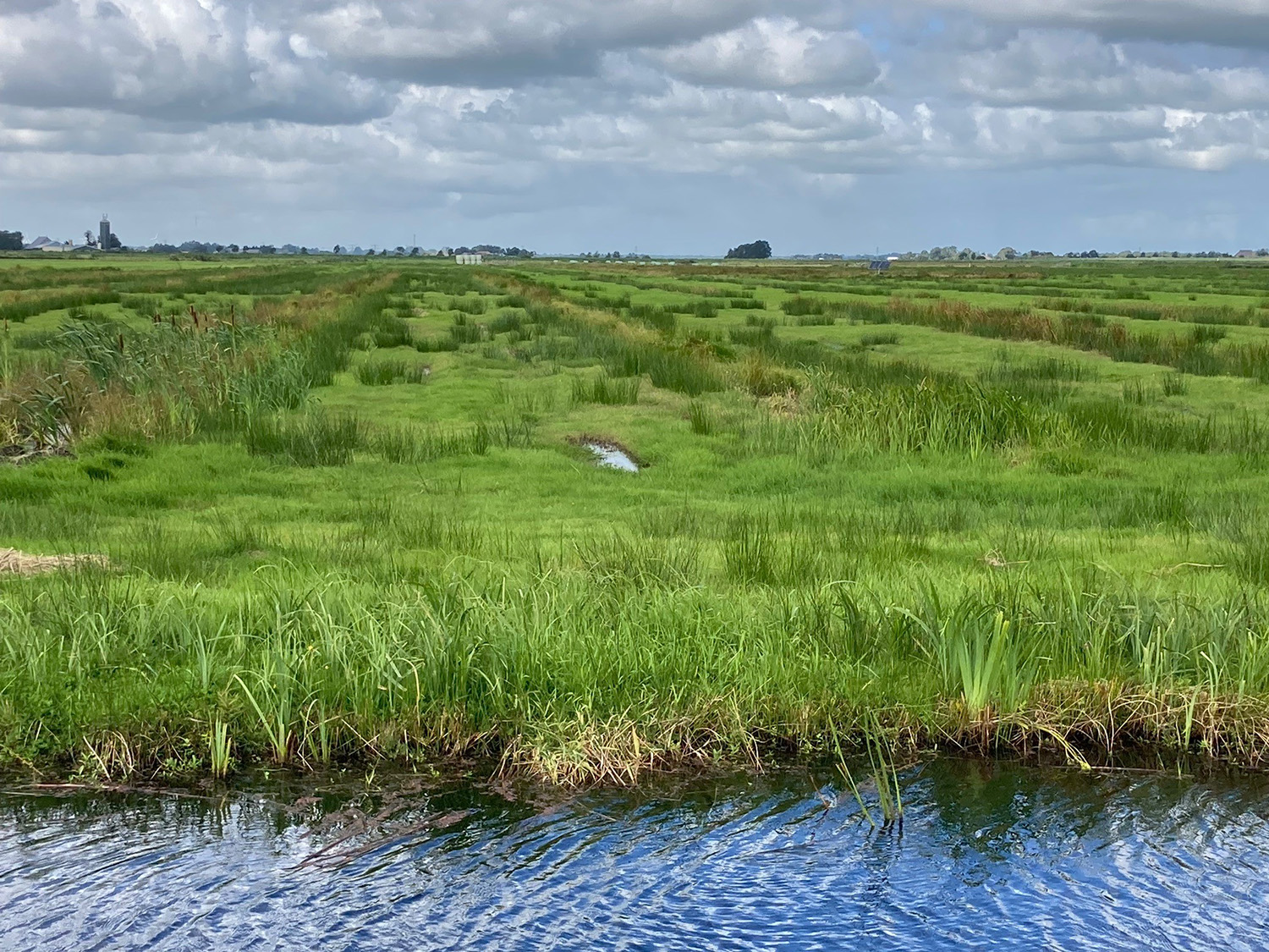 Het water- en bodemsysteem is leidend bij de ruimtelijke inrichting van Nederland. Foto: Laag Nederland 2050