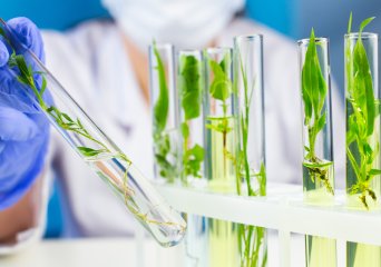 Education for Professionals - Biotechnology and Chemistry