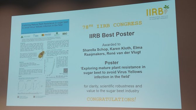 Announcement of winning poster at IIRB